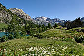  Lago Devero - Vista verso il Pianboglio e la Bocchetta d'Arbola. 